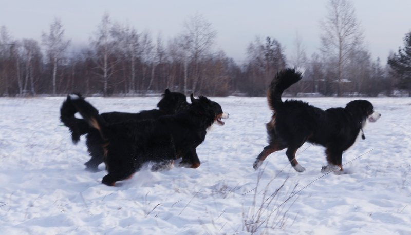 20190112_195935.jpg