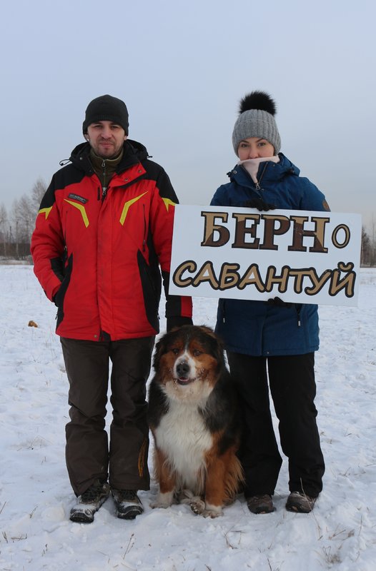 20190112_213203.jpg