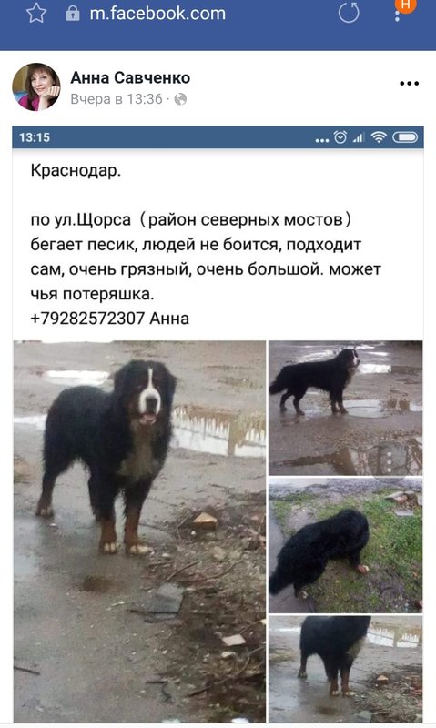 20190116_171448.jpg