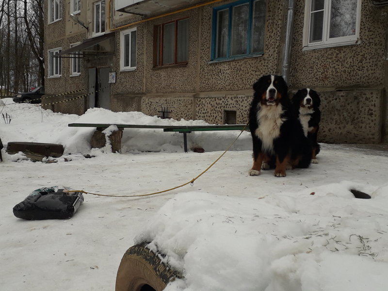 20190120_133910.jpg