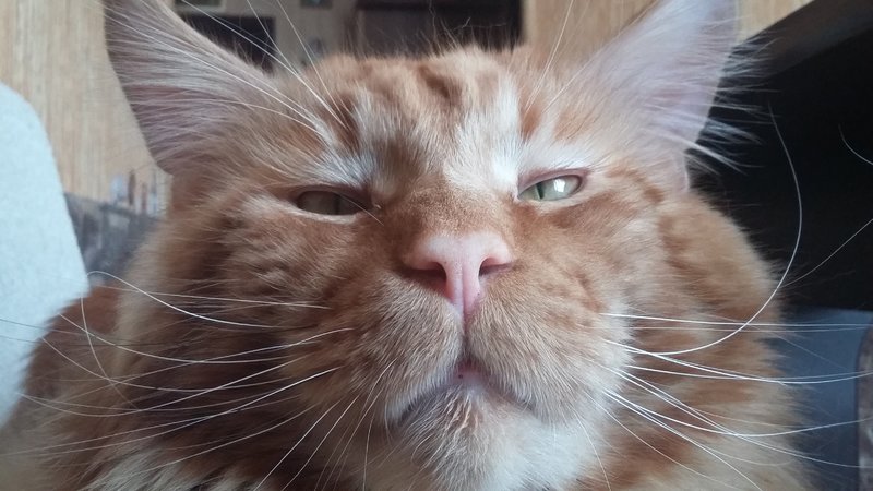 20190201_104331.jpg