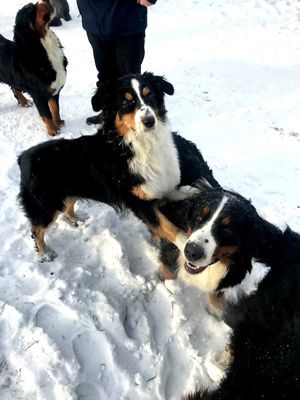 20190209_103734.jpg