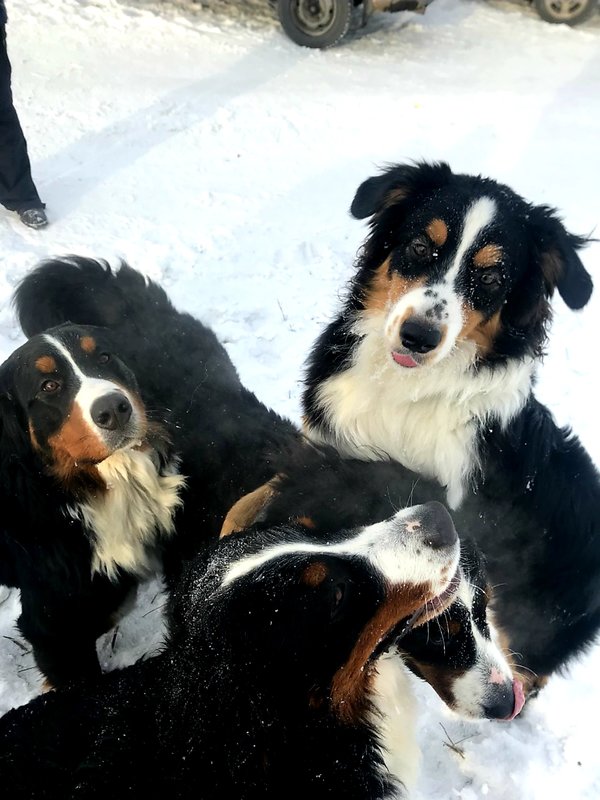 20190209_103745.jpg