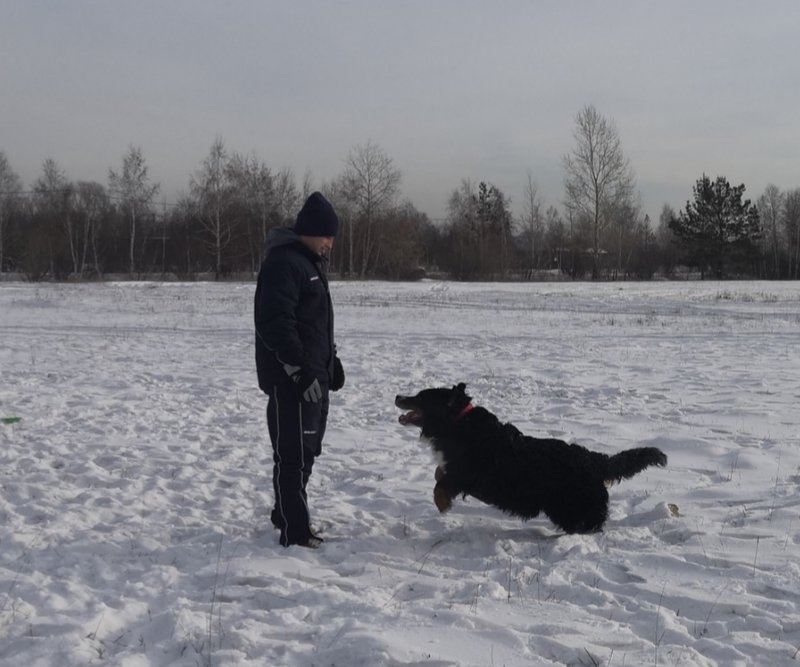 20190209_103924.jpg