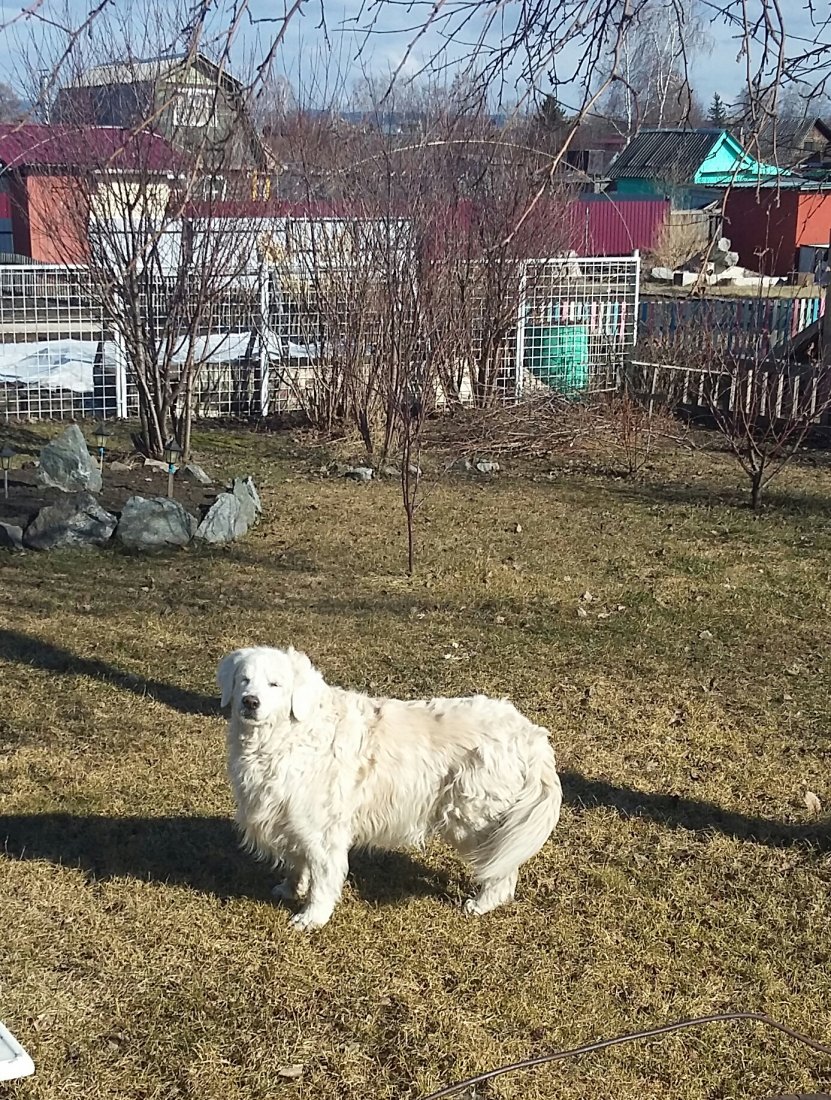20190401_153929-1.jpg