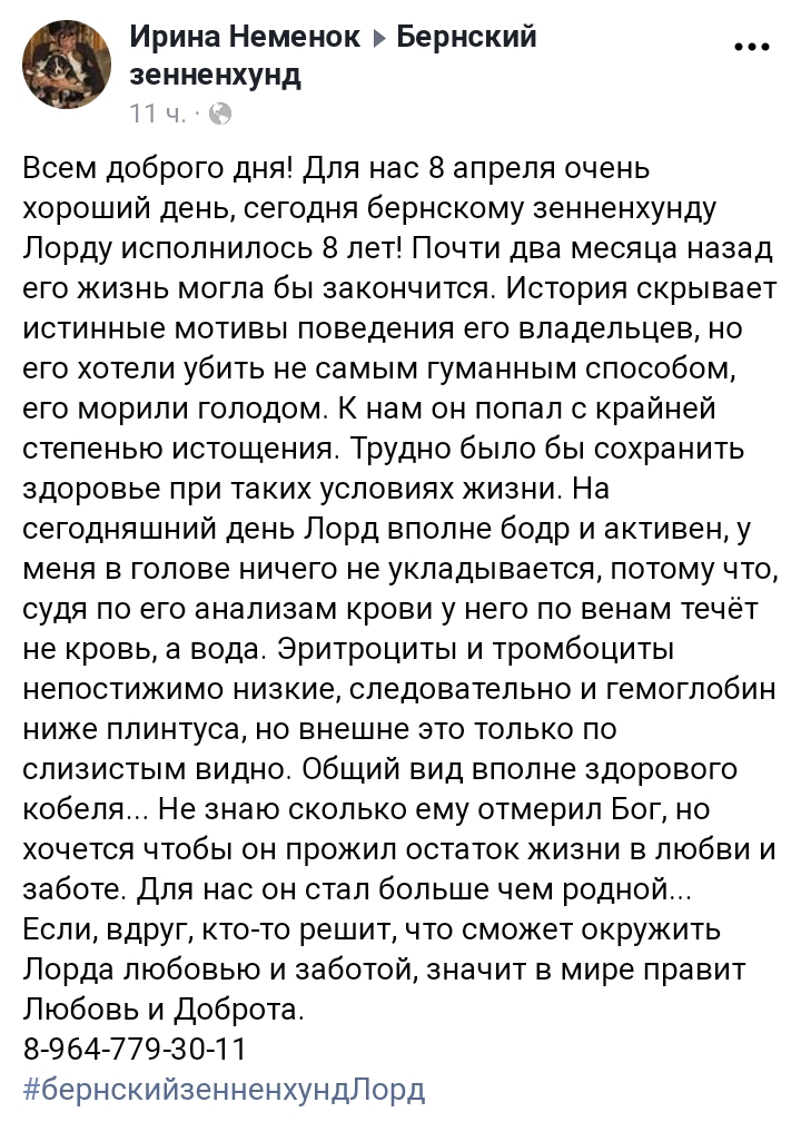 20190409_081402.jpg