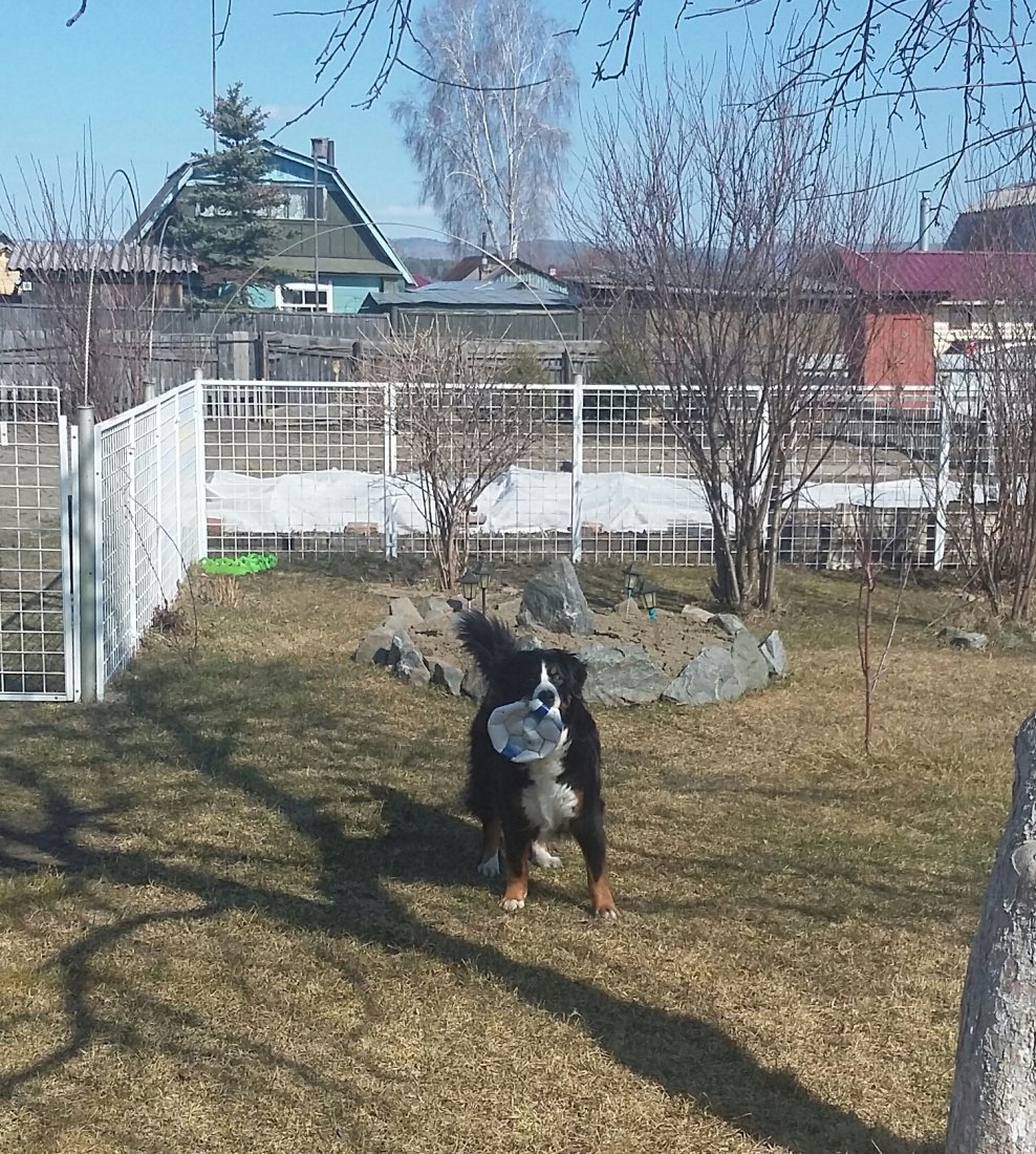 20190420_145430-1.jpg