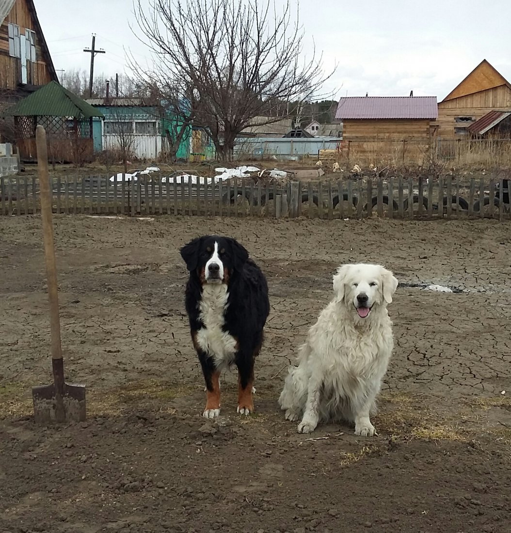 20190421_142752-1.jpg