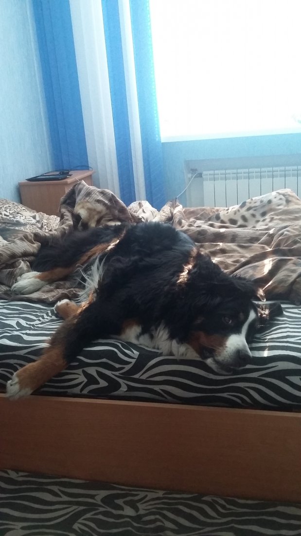 20190506_082613.jpg