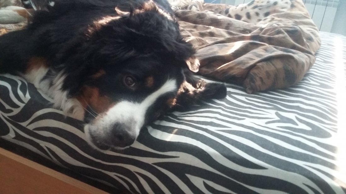 20190506_082620.jpg