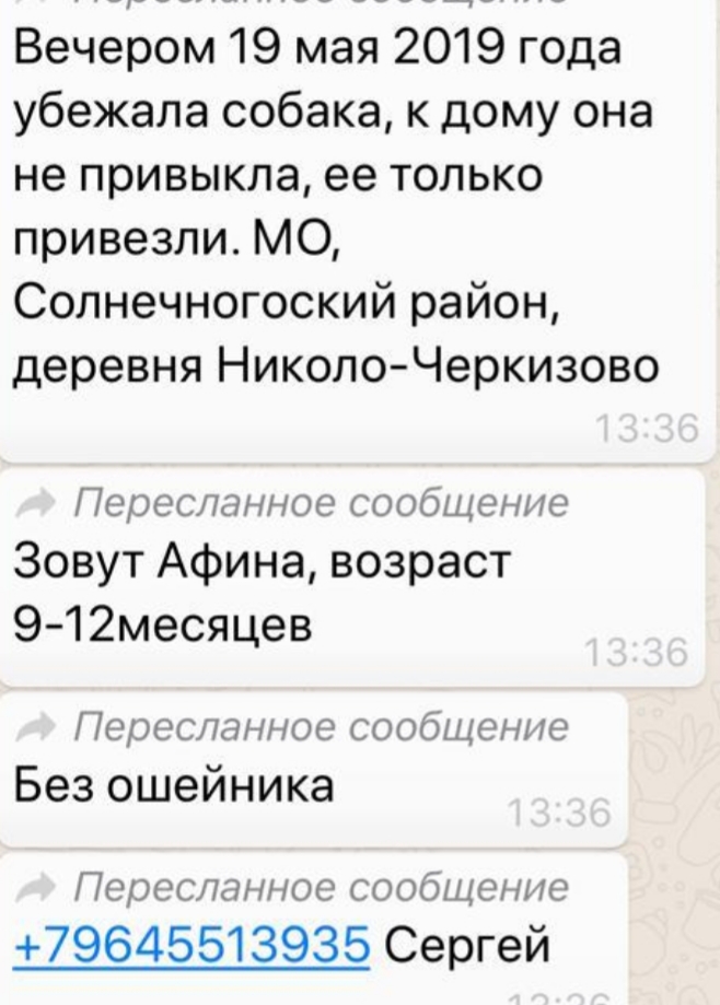 20190523_134646.jpg