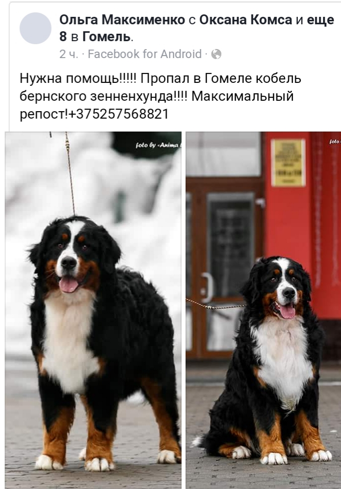 20190525_111708.jpg