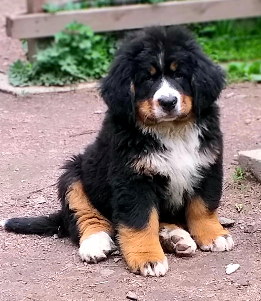 20190526_194318.jpg
