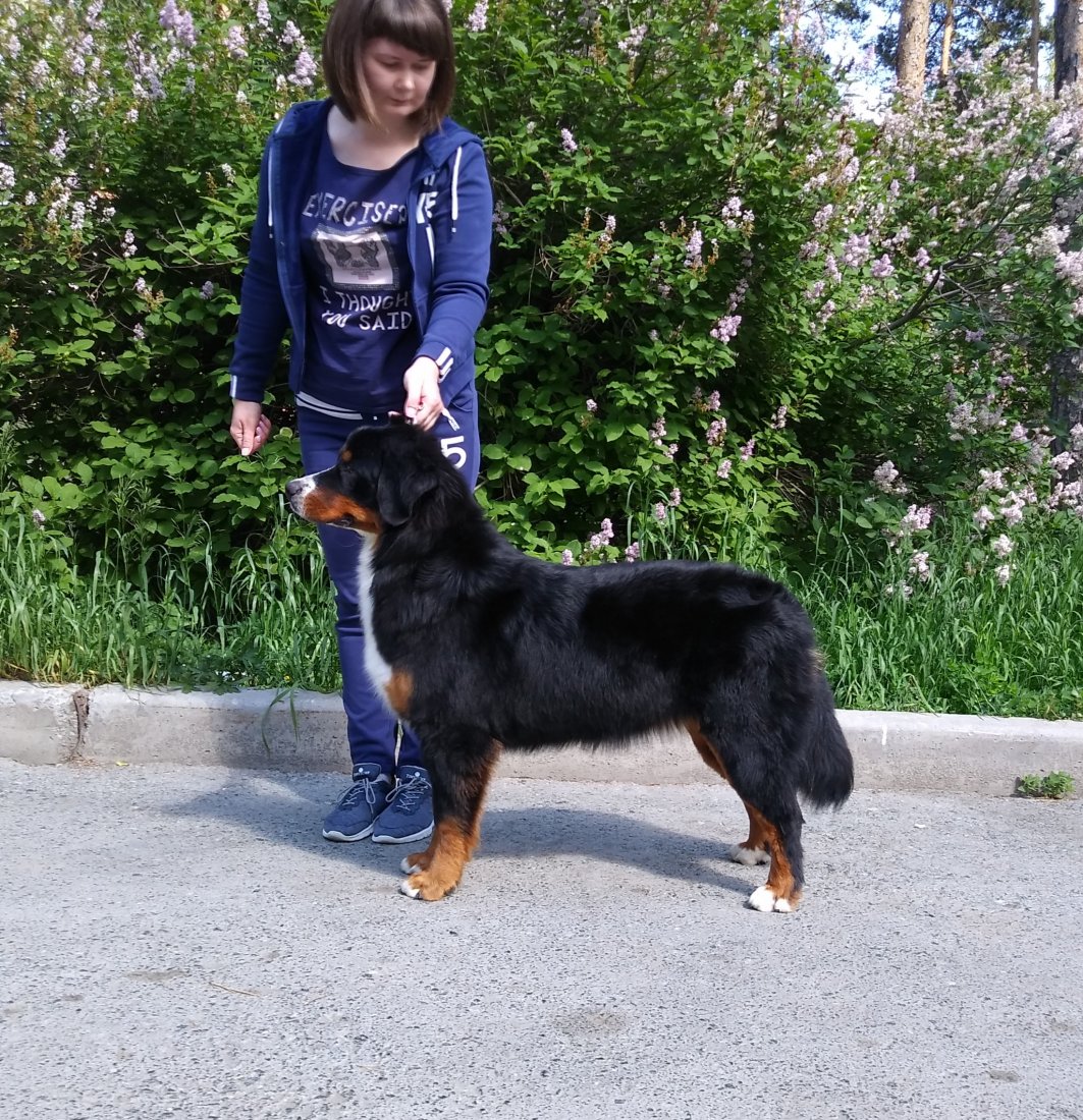 20190615_154327_HDR-1.jpg