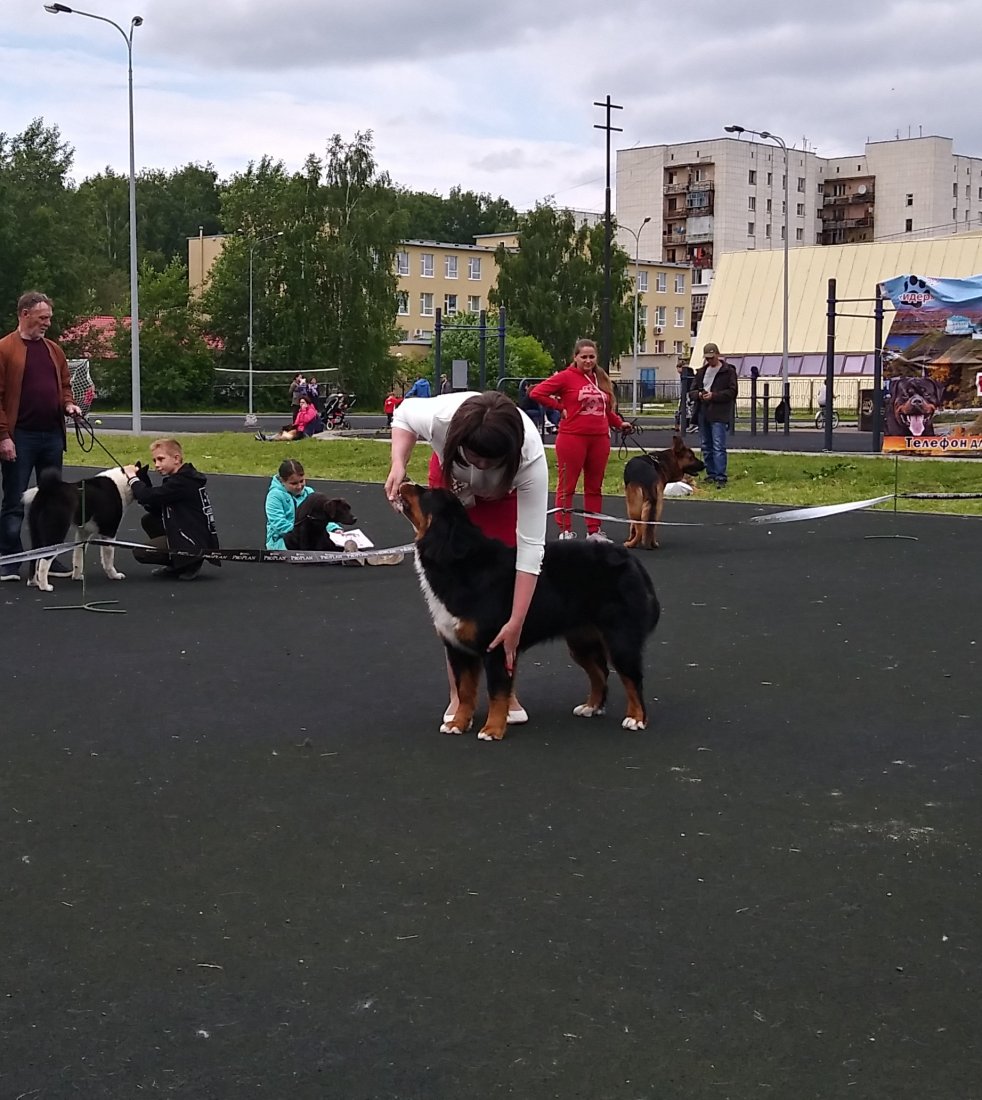 20190623_131859_HDR.jpg