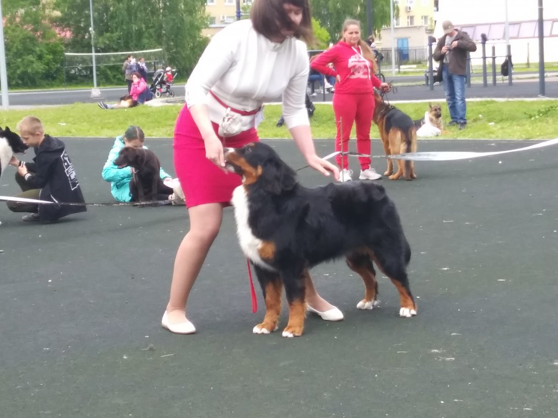 20190623_131903.jpg