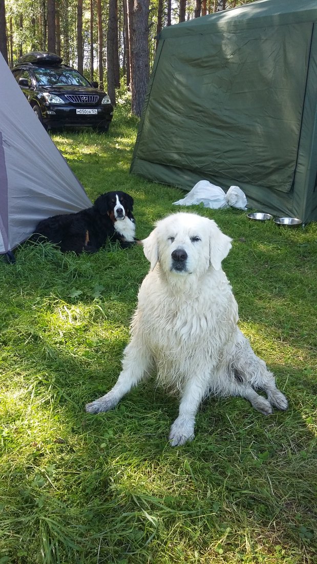 20190629_112458.jpg