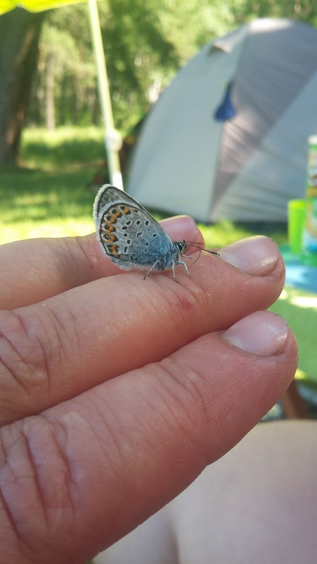 20190629_144820.jpg