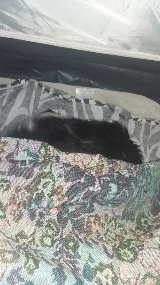 20190630_012701.jpg