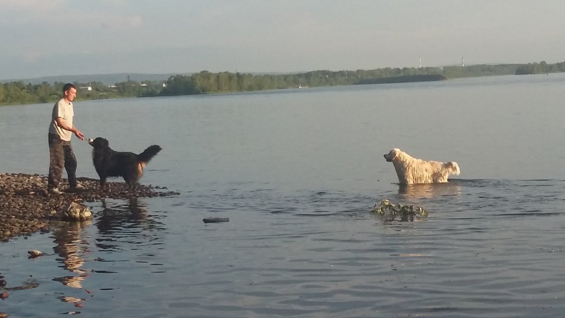 20190706_195547.jpg