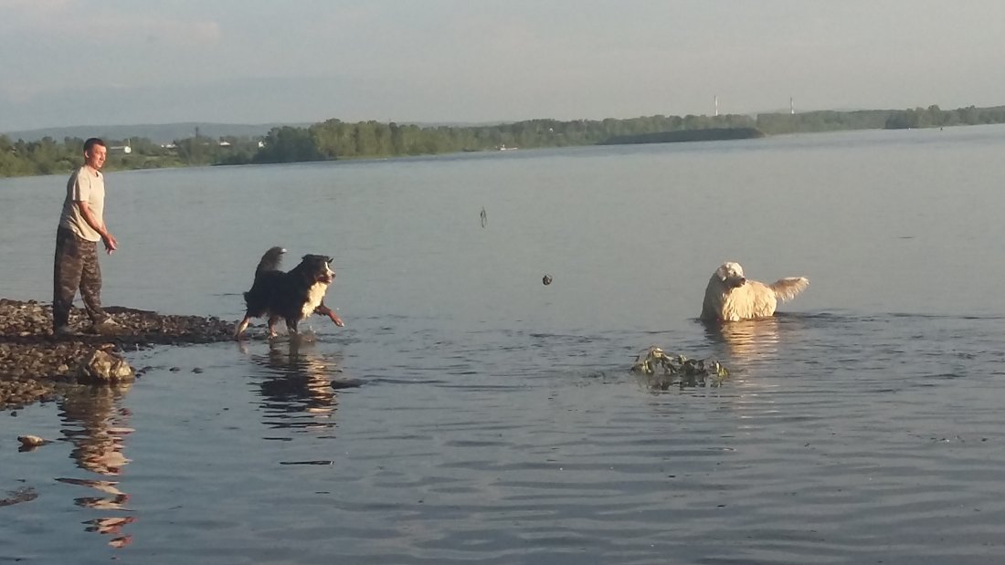 20190706_195550.jpg
