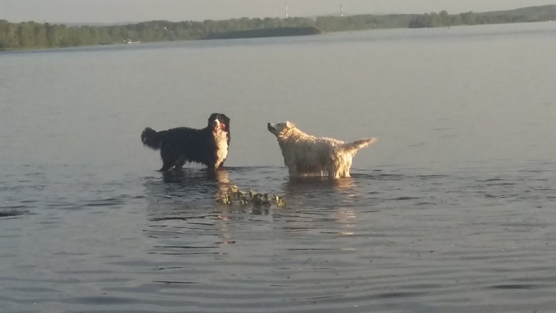 20190706_195616.jpg