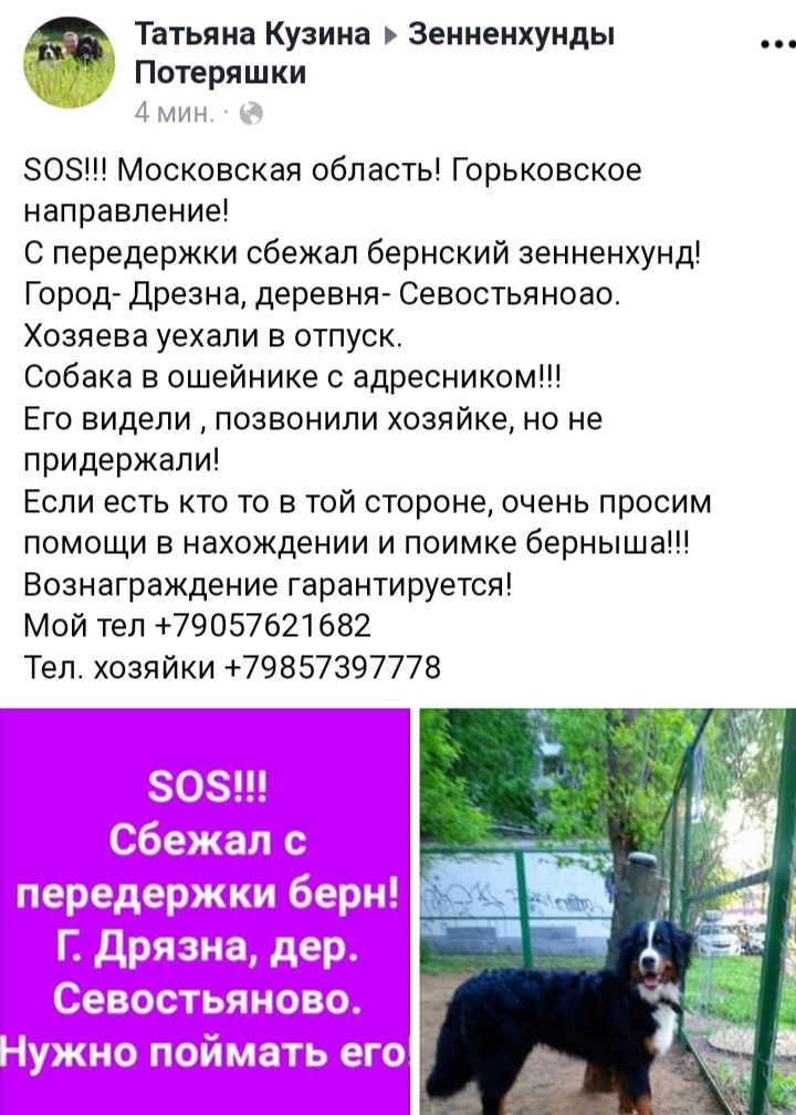 20190724_101609.jpg