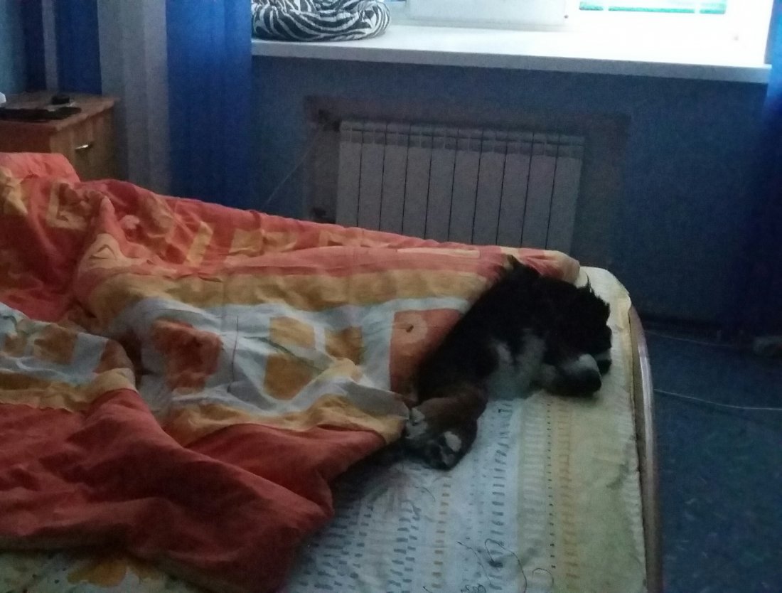 20190823_070057-1.jpg