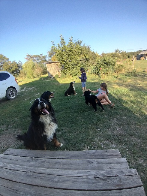 20190903_171700.jpg