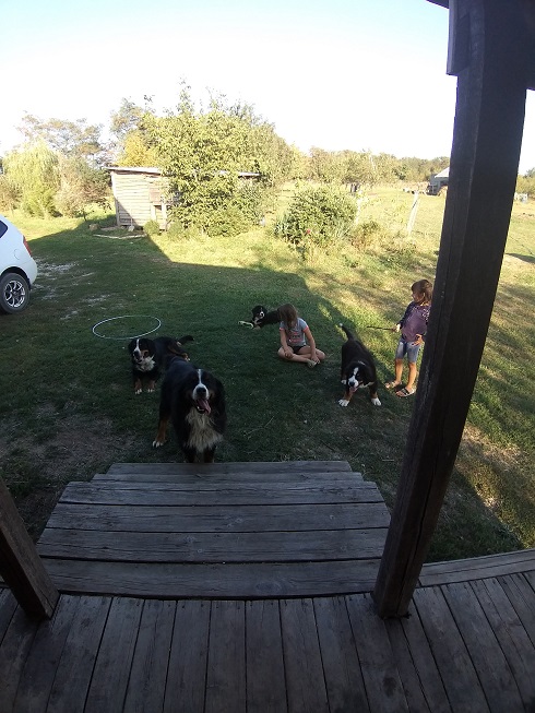 20190903_171738.jpg