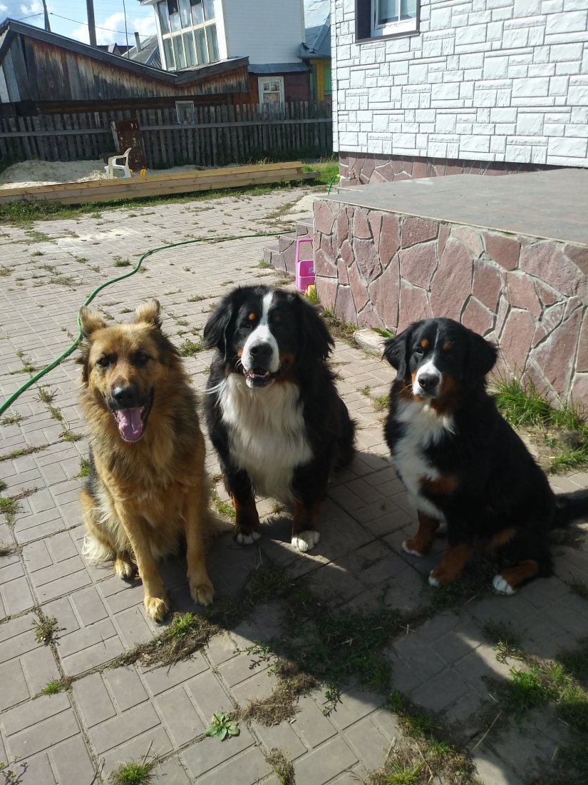 20190909_130202_HDR.jpg