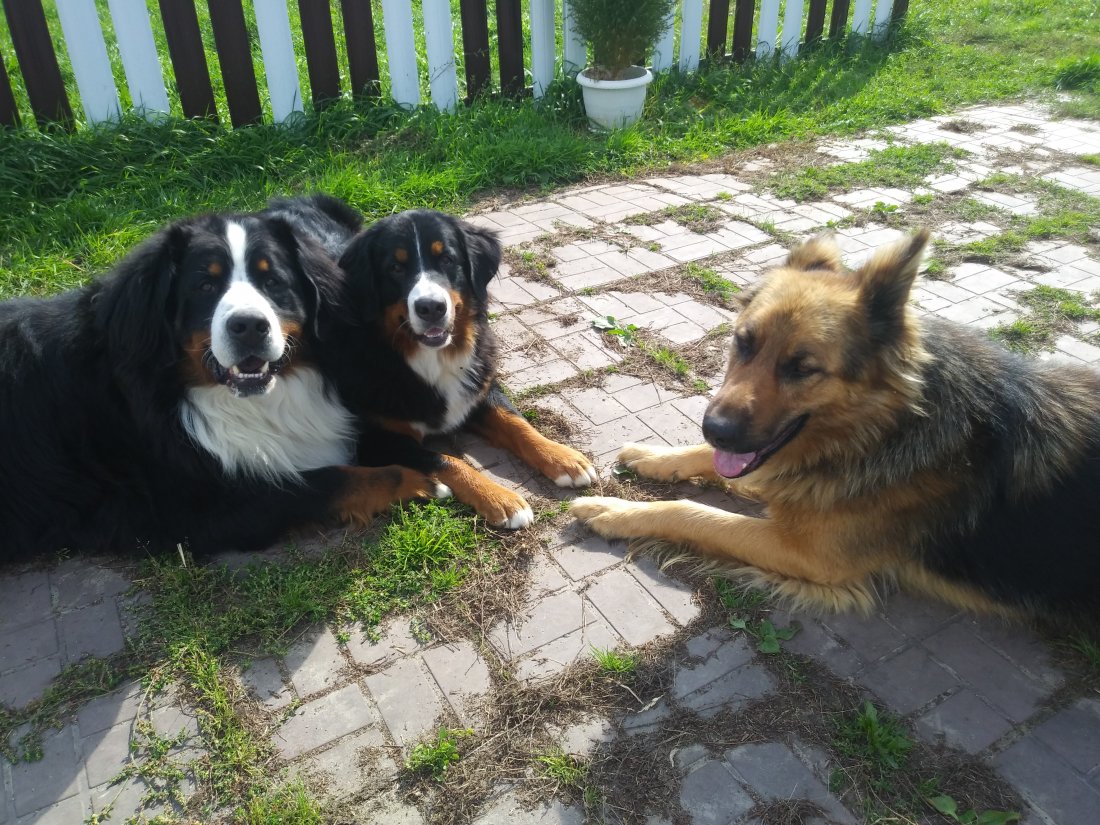 20190909_130346.jpg