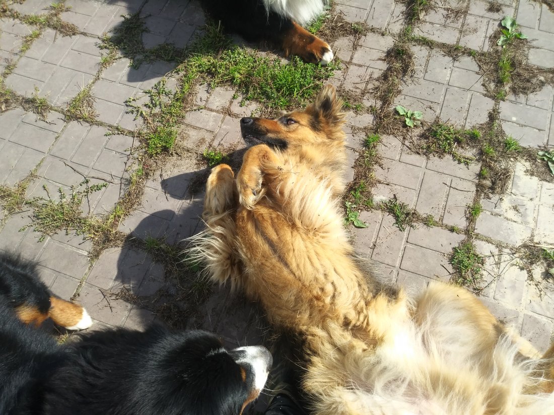 20190909_130403.jpg