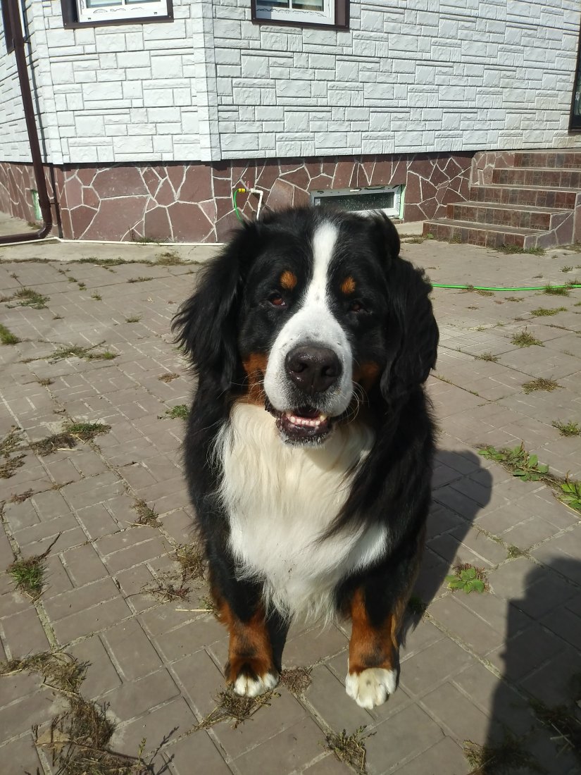 20190909_130523_HDR.jpg