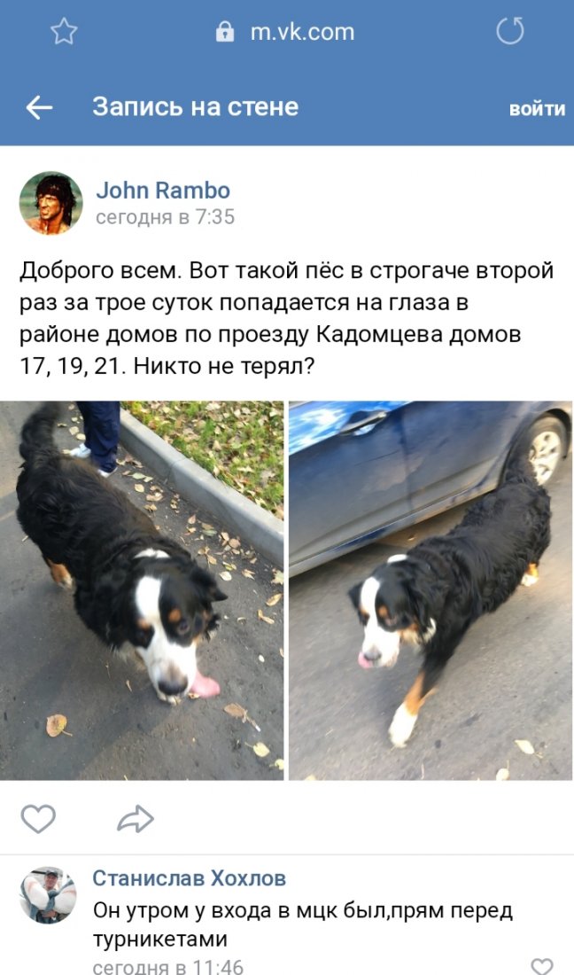 20190910_210323.jpg