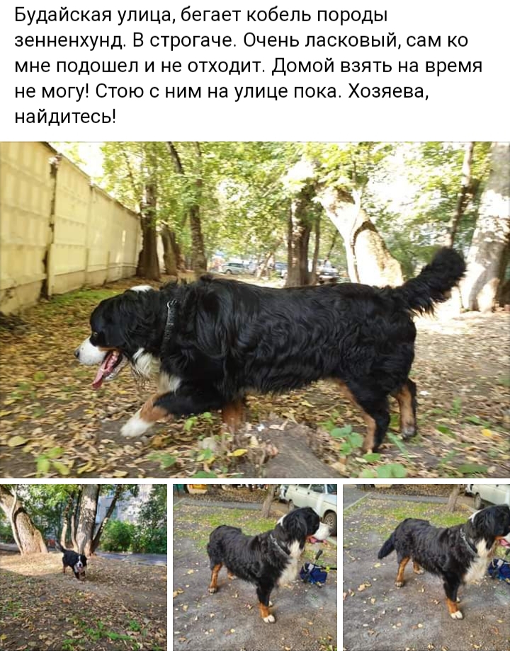20190910_210651.jpg