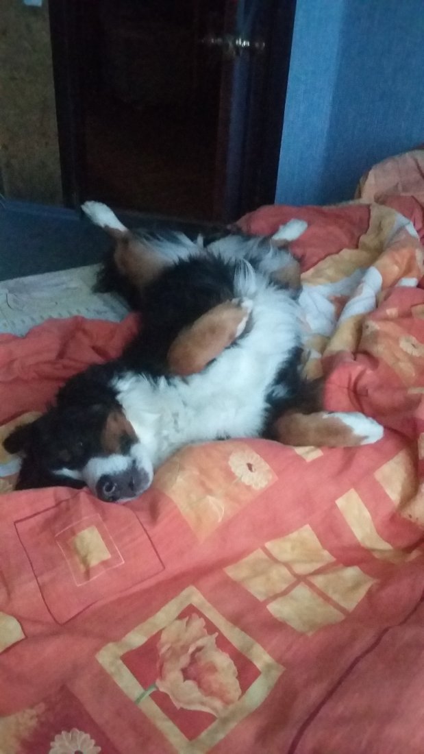 20190919_070237.jpg