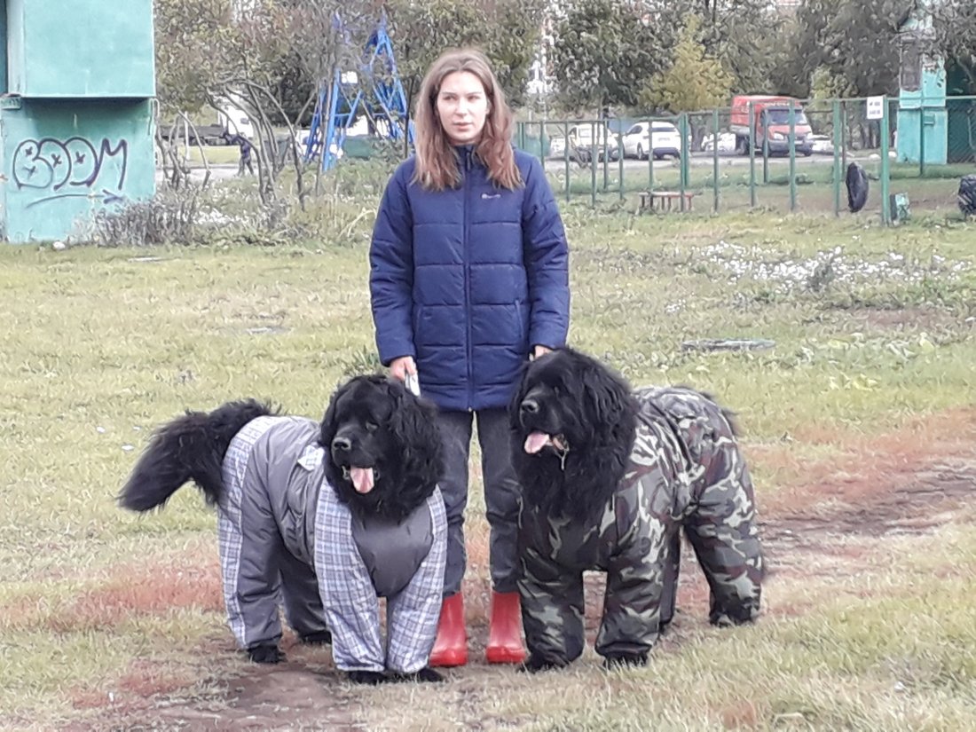 20190922_153159.jpg
