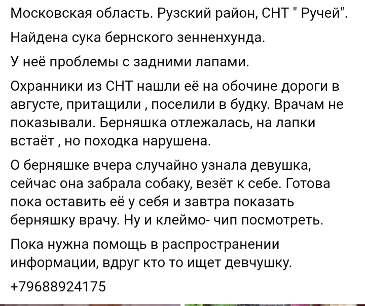 20190925_100748.jpg