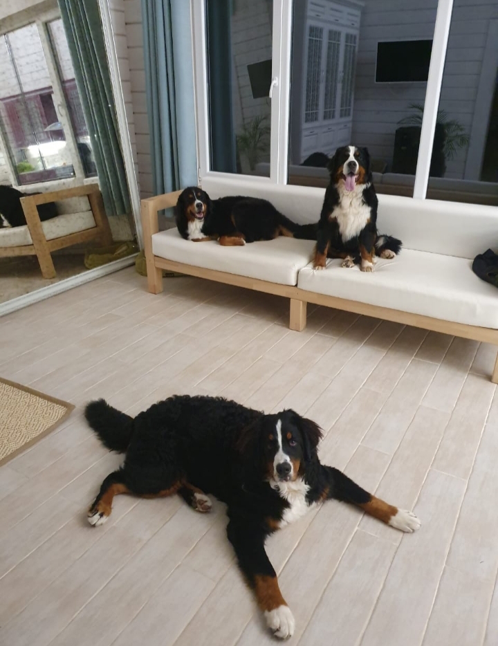20191001_083837.jpg