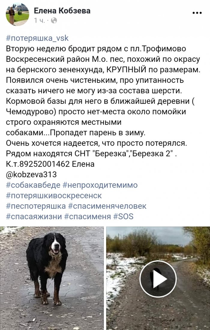 20191007_120224.jpg