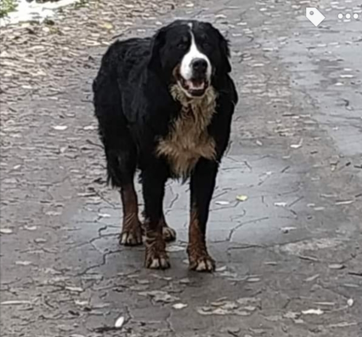 20191008_084543.jpg