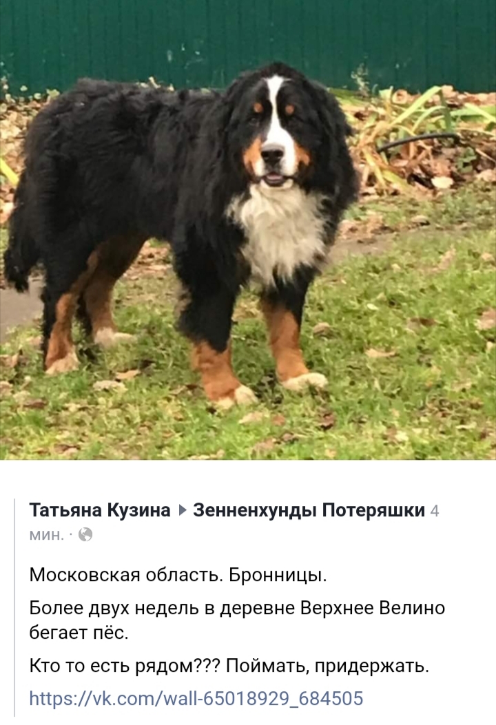 20191110_224646.jpg