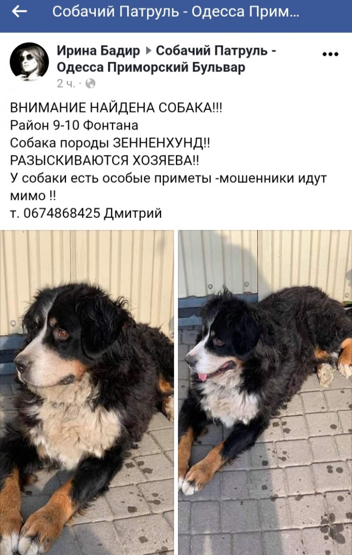 20191128_160006.jpg