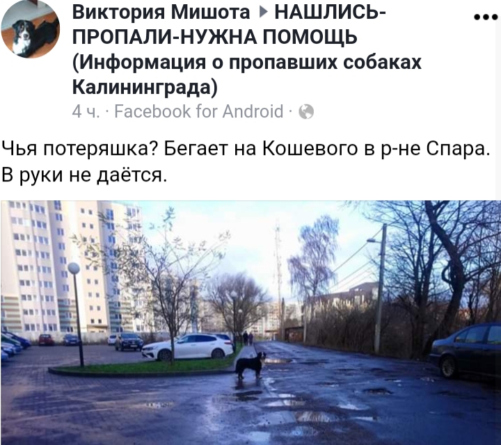 20191209_170510.jpg