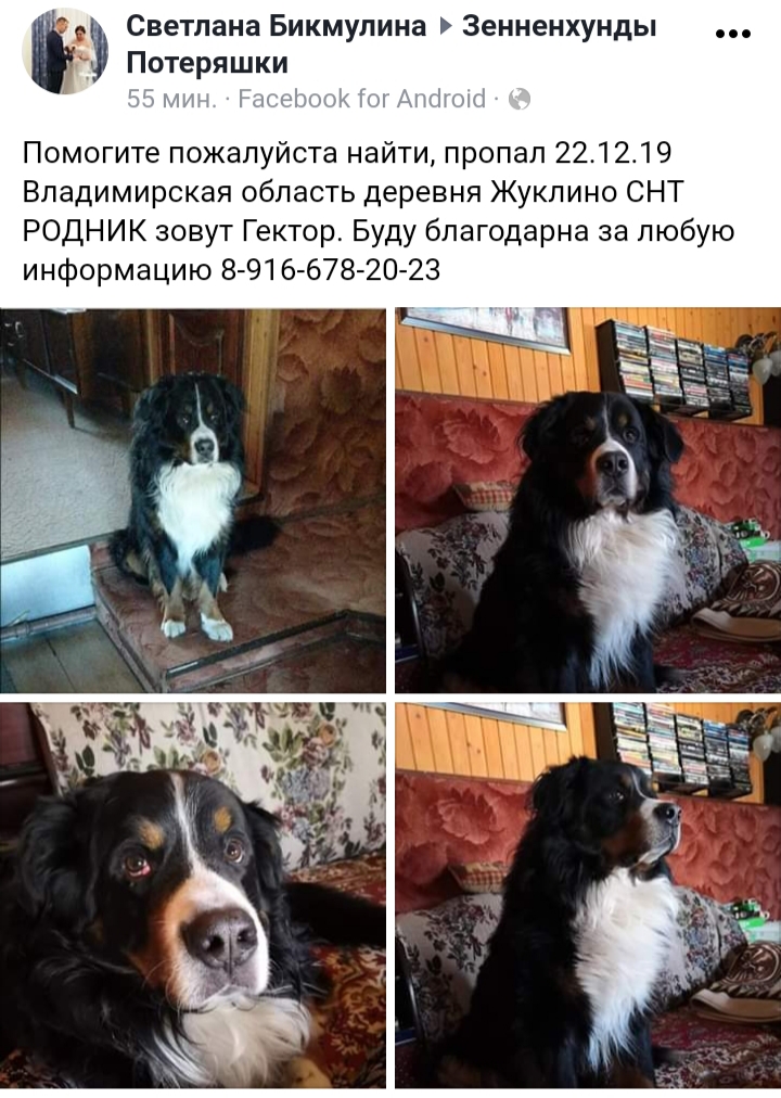 20191224_125024.jpg