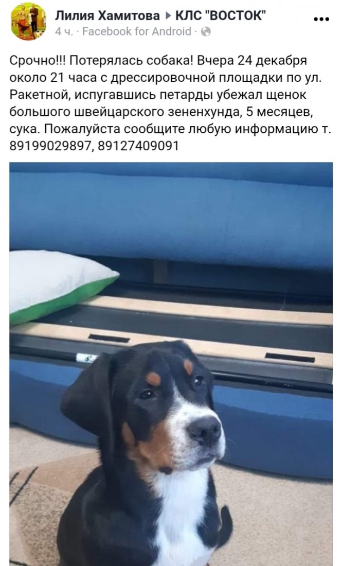 20191225_103636.jpg
