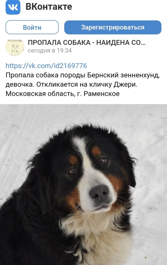 20200505_200901.jpg