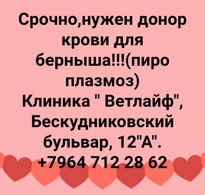 20200714_114155.jpg