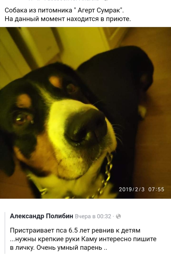 20200723_064253.jpg